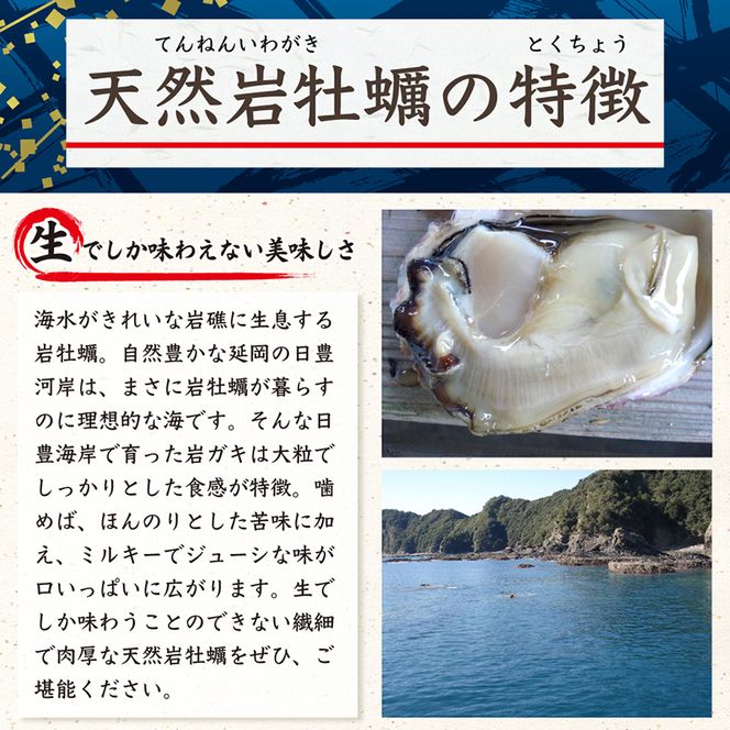 延岡産天然岩牡蠣（生食用）3kg（小）（2024年4月1日から発送開始