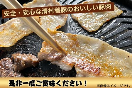 ワイルド塊BBQセット 計1450g 清村養豚 《30日以内に出荷予定(土日祝除く)》  熊本県 御船町 豚 肉 冷凍 小分け カタ モモ バラ---sm_fkymwibbq_30d_23_13500_1450g---