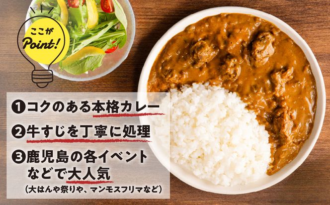 【7営業日以内に発送】牛すじカレー 2kg　K008-006