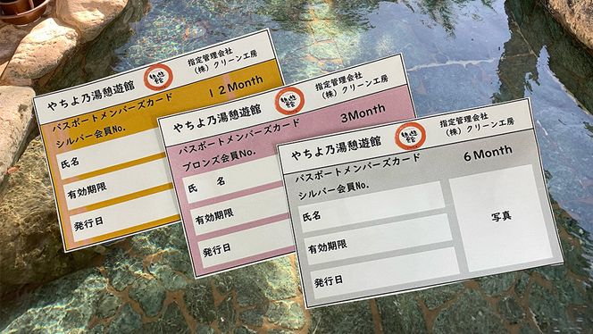 八千代グリーンビレッジ 「 やちよ乃湯 憩遊館 」 温泉 入浴 パスポート （3ヶ月） 入浴券 おんせん 入浴パスポート 旅行 ふるさと納税 59000円 [AN018ya]