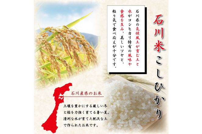 【期間限定発送】 米 令和7年 石川県産 石川米こしひかり【穂立】10kg [中橋商事 饗のこめ (あえのこめ) 石川県 宝達志水町 38601198] コシヒカリ お米 コメ 白米 精米 おこめ こめ 10キロ ごはん ご飯 国産