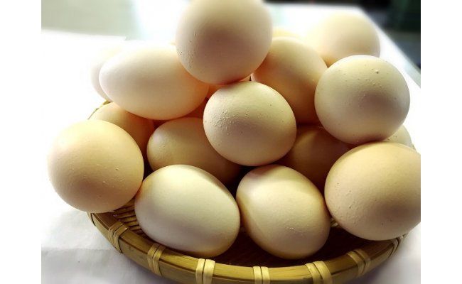  B1809ひまわりたまご紅白セット（２段）※破卵補償10個含 卵 鶏卵 玉子
