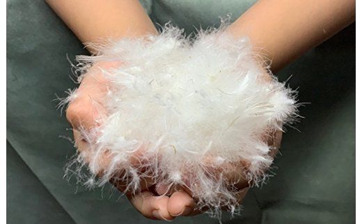 099H3103 ダウンケット シングル 140cm×190cm 訳あり 柄おまかせ【国産 羽毛 ふとん 寝具 掛け布団 羽毛ふとん】