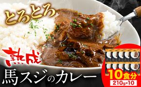 たっぷり！馬スジカレー 10食セット《60日以内に出荷予定(土日祝除く)》馬スジ カレー お肉 馬すじ カレーライス 馬肉 贈答 ギフト グルメ お取り寄せ 熊本県 南阿蘇村 送料無料 個包装 大人気 簡単調理 千興ファーム---sms_fbsjikr_60d_25_17000_10set---