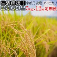 【定期便】令和5年産 米 5kg 12ヶ月 京都丹波産 コシヒカリ 白米＜JA京都 たわわ朝霧＞ 12回定期便 5kg×12回 計60kg 毎月発送に合わせて精米