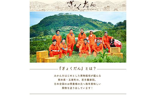 ぎょくだん『ミチヒロ』のみかん★約5kg(サイズおまかせ) 予約受付中 フルーツ 秋 旬★熊本県玉名郡玉東町『熊本・玉東、玉東町段々畑男子団。』みかん ぷらっとぎょくとう《10月下旬-1月下旬出荷》---sg_michimikan_p101_r7_11000_5kg---