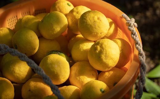 【CF】山神果樹薬草園：国産柚子のしぼり酢＆国産柚子と伊予柑のジュースセット 　