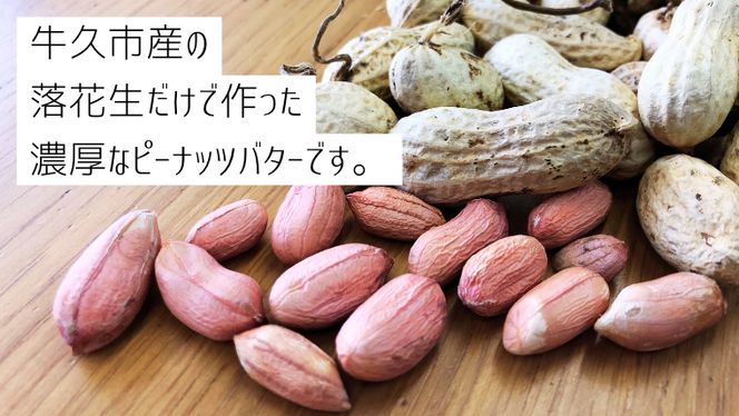 落花生 本来の味! 濃厚 ピーナッツ バター 110g × 2本セット 加工品 オーガニック ジャム ピーナッツクリーム ナッツ 冷蔵 パン ベーグル [BD006us]