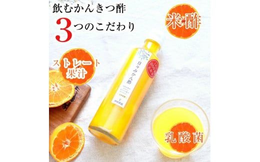 伊藤農園 ３種の日々かんきつ酢16本セット(A637-2)