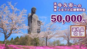 【 返礼品なし 】 茨城県 牛久市 ふるさと応援寄附金 ( 50,000円 ) [ZZ005us]