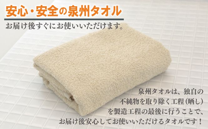 099H2930-1 ミニバスタオル 5枚（ベージュ）【40cm×120cm 500匁 国内製造 泉州タオル フェイスタオル 以上 バスタオル 未満 吸水 普段使い シンプル 日用品 家族 ファミリー】