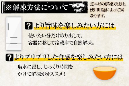 海老 エビ 釜揚げ 一夜干し 芝えび (800g)約200尾 えび 内野海産《45日以内に出荷予定(土日祝除く)》---sn_fuchiebi_45d_r7_13000_800g---