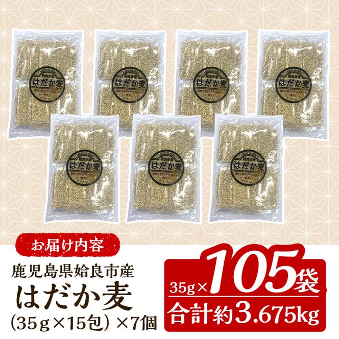 a630 《訳あり・数量限定》姶良市産はだか麦35g×105袋(合計約3.6kg超え)【竹之内穀類産業】姶良市 国産 麦ごはん用はだか麦