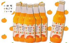 おひるねみかんサイダー　340ml　10本