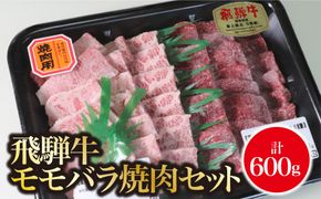 AB-50 A5飛騨牛　モモバラ焼肉セット計600ｇ