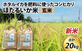 【先行予約】【新米】ほたるいか米（新米/玄米20kg）25年10月以降順次配送予定