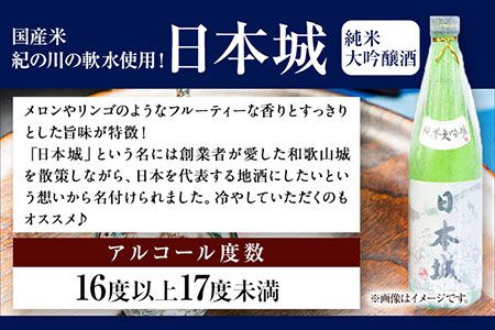 日本城 純米大吟醸酒 純米吟醸酒 根来 飲み比べセット 720ml×2本セット 厳選館《90日以内に出荷予定(土日祝除く)》 和歌山県 日高川町 酒 純米吟醸 飲み比べ 1440ml 純米大吟醸酒 純米吟醸酒---wshg_genngjk_90d_22_14000_2p---