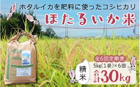 【訳あり】ほたるいか米（精米５kg）×6回 計30kg【6ヶ月定期便】