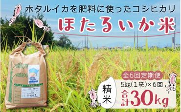 【訳あり】ほたるいか米（精米５kg）×6回 計30kg【6ヶ月定期便】