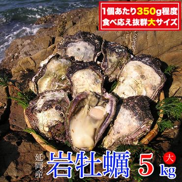 延岡産天然岩牡蠣（生食用）5kg（大）（2024年4月から発送開始）　N036-B307