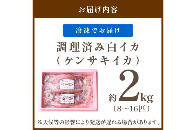 【先行予約】BBQに最適！ 白イカ（ケンサキイカ） 調理済み 正味2kg入り（8～16匹） ※小分け真空包装（2025年5月中旬〜発送）　UO01227