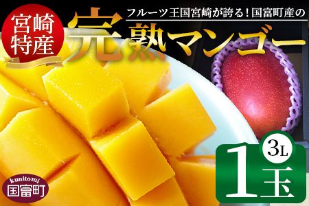 ＜宮崎特産！国富町産の完熟マンゴー 1玉（3L）＞2026年3月下旬～6月下旬迄に順次出荷【a0593_as】