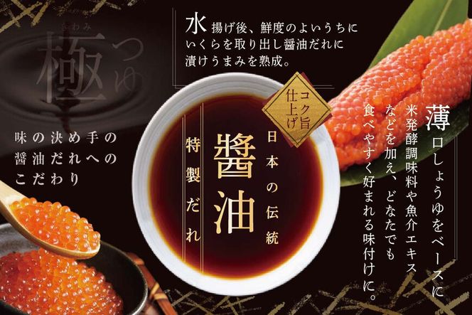 【250g×1パック 12回 お届け】 12ヵ月 定期便 漁協 直送！本場「北海道」 いくら 醤油漬け【NKM12NQ07】