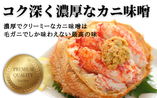 【期間限定3月～4月発送】三陸産三陸活毛ガニ400g×1杯(1尾)【0tsuchi00659】【05】