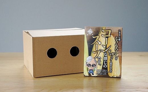 農家の自慢の朝採りとうもろこしから作ったコーンスープ10個セット H132-025