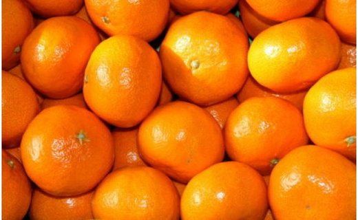 [秀品]和歌山有田みかん約6kg(3Lサイズ) ★2026年11月中旬頃より順次発送 BZ049