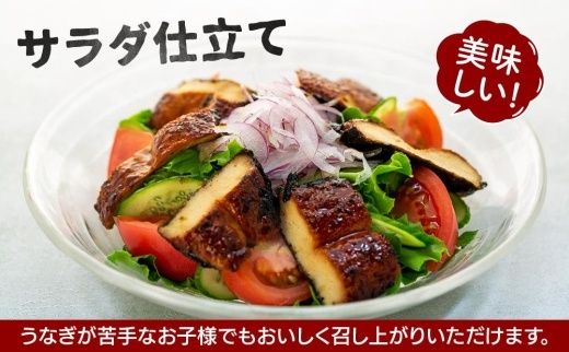 豆腐と海苔で作った美味くてヘルシートウフちゃん蒲焼　5本セット【鰻ではありません】