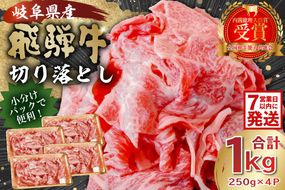 【7営業日以内発送】飛騨牛切り落とし1Kg（250ｇ×4）【0016-019】