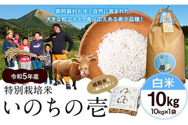 令和5年産 特別栽培米 いのちの壱(白米)10kg×1 雑穀米付き《90日以内に出荷予定(土日祝を除く)》 熊本県 南阿蘇村 熊本県産 虹色のかば 雑穀米---sms_nnktmiih5_90d_22_25000_10kg---
