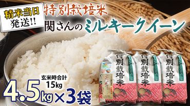 《 特別栽培米 》 令和5年産 精米日出荷 関さんの「 ミルキークイーン 」 4.5kg × 3袋 ( 玄米時 15kg ) 新鮮 精米 米 こめ コメ 特別栽培農産物 認定米 [AM089us]