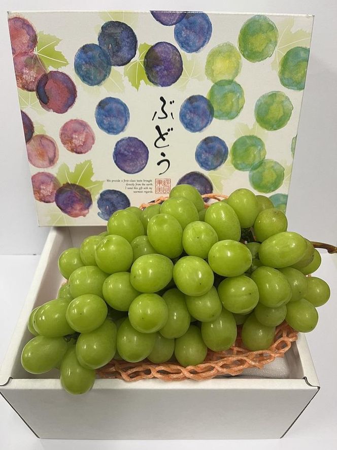 【先行予約】 ［お届けは8月下旬予定］ 大府市農園直送 完熟シャインマスカット１房 （1Kg以上） 贈答用にも 232238_BM03-PR