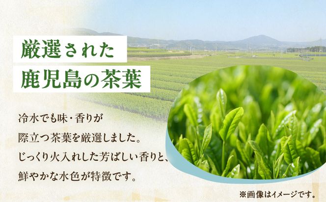 【期間限定】夏物語（水出し煎茶）　K111-039