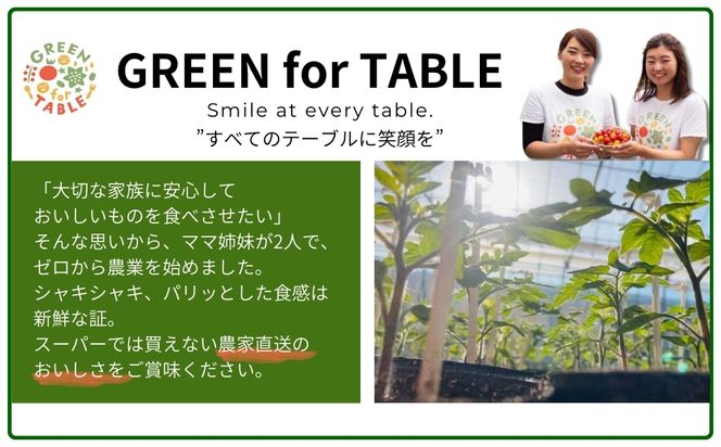 ミニトマト サンチェリー 1kg 7月発送 トマト 新鮮 野菜 農家直送 1キロ 人気 おすすめ ギフト 贈答 プレゼント 福島県 田村市 田村 GREEN for TABLE N047-001