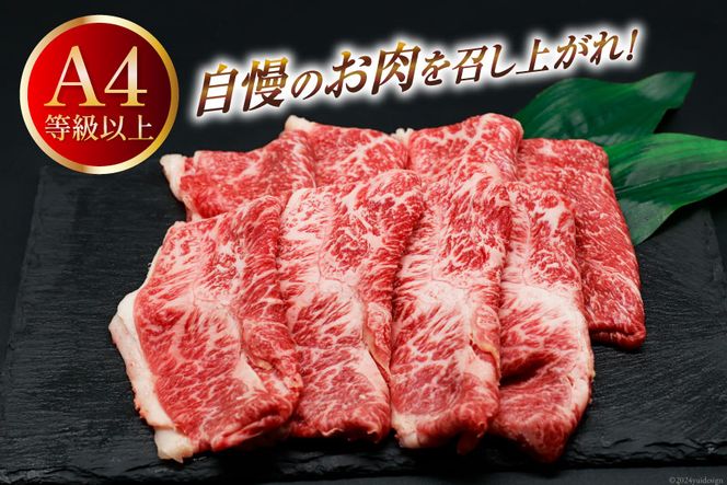 肉 牛肉 ブランド牛 宮崎牛 牛うで肉 スライス 400g [牛心フードサービス 宮崎県 美郷町 31bm0022] 冷凍 ウデ ウデ肉 うで うで肉 ブランド牛 宮崎牛 スライス