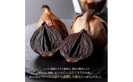 デカ黒にんにく「黒の塊」DX６粒【にんにく 国産 九州産 宮崎県産 発酵ニンニク 送料無料】[E10401]