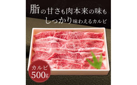 北海道産 北見和牛カルビ 500g ( 和牛 牛肉 肉 焼肉 焼き肉 バーベキュー カルビ 国産 )【019-0001】