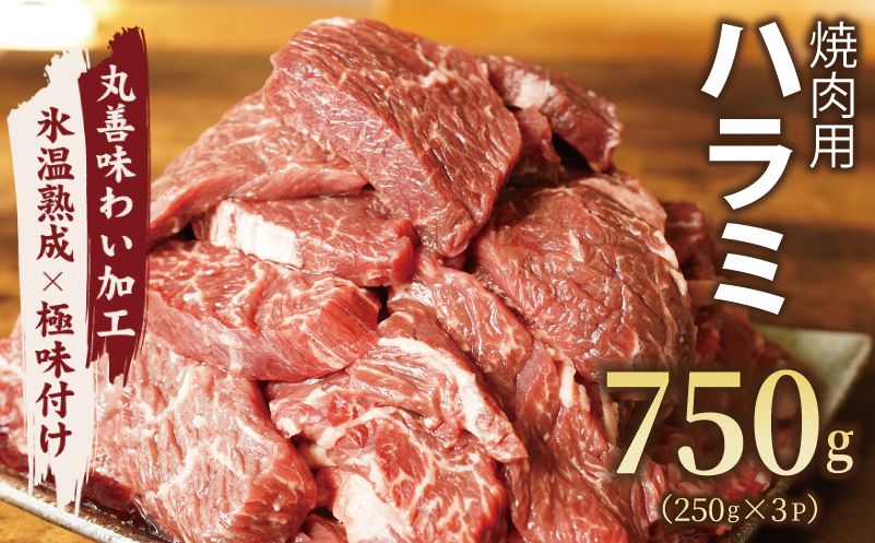 mrz0020 牛肉 ハラミ 750g 小分け 250g×3P[氷温熟成×極味付け 牛肉 訳あり 不揃い 焼肉 BBQ 野菜炒め]