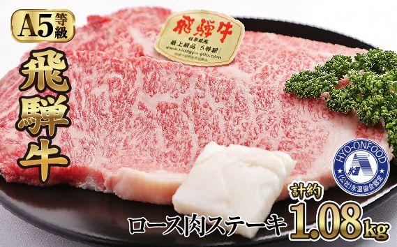 氷温(R)熟成　飛騨牛Ａ５等級ロース肉ステーキ 計約1.08kg 超高速凍結 [No.535]