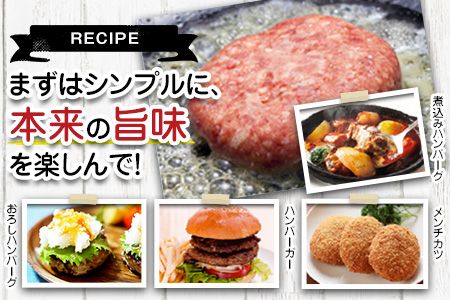 馬肉入り手作りハンバーグ(約150g×9個)　肉の宮本《45日以内に出荷予定(土日祝除く)》---sn_fmiyahamburg_45d_r7_11000_9i---