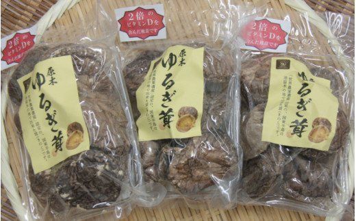 中野屋の油留木乾し椎茸（150g）_054Z