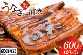 うなぎ 国産 炭火焼 肉厚 蒲焼 120g ×5尾 計600g [村田商店 静岡県 吉田町 22424323] 鰻 ウナギ 炭火焼き 炭火 蒲焼き 冷凍 真空パック うなぎのむらた