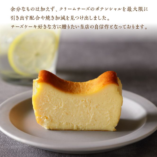チーズケーキ 480g 冷凍　N0153-ZA293