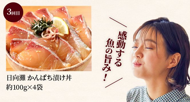 日向灘 海鮮丼 漬け丼 お魚の漬け丼 バラエティ3回定期便　N019-C515