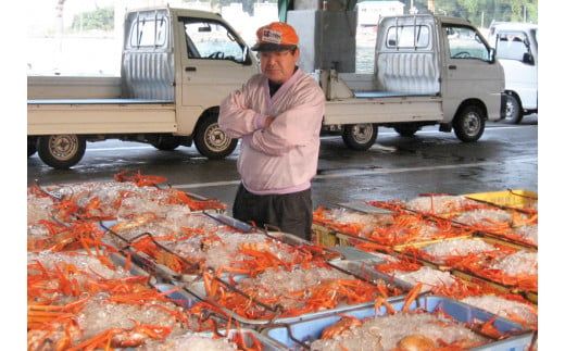 【かに甲羅盛りセット12個入り 産地直送】発送目安：入金確認後1ヶ月程度 兵庫県香住漁港産の香住ガニを原料 濃厚な味わいのかにみそ みずみずしい脚肉のほぐし身 レンジ対応の特殊パック 温かい甲羅盛り 手軽にお召し上がり下さい 紅ズワイガニ 兵庫県 香美町 香住 カニ 甲羅盛り ハマダセイ 兵庫県 香美町 香住 カニ 甲羅盛り ハマダセイ 51-08