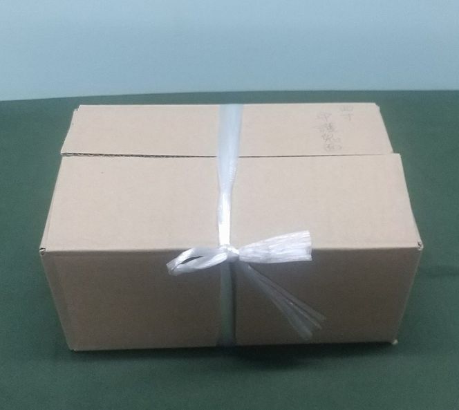 伝統工芸士の鬼師が作る守護鬼瓦シリーズ 疫病退散 守護鬼面 4寸(12cm) H064-022