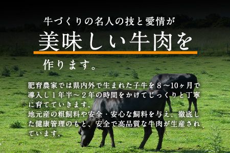 【3ヶ月定期便】 A5ランク くまもと黒毛和牛 すき焼き用 400g (計3回お届け×400g 合計1.2kg)《お申込み月の翌月から出荷開始》 南阿蘇L（阿蘇牧場）---sms_fkgsktei_r7_61500_mo3num1---